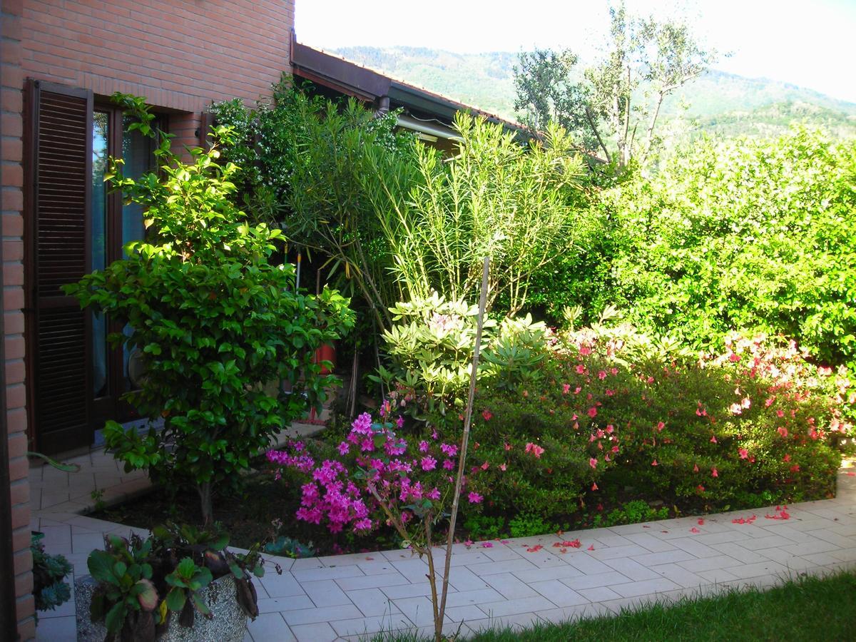 Bed and Breakfast La Folaga Gavirate Exteriér fotografie